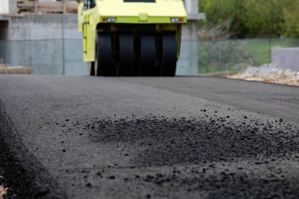 Best Driveway Pavers Cost  in Taylor, TX