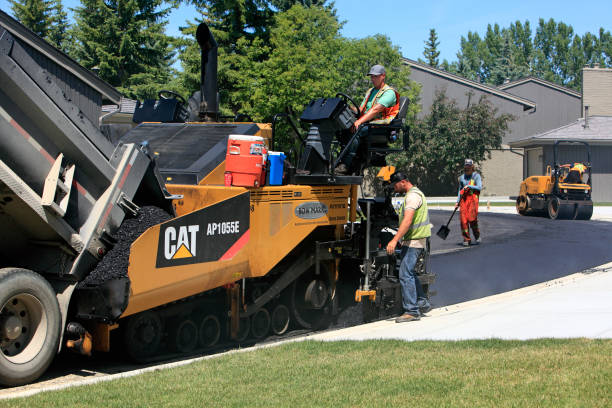 Best Residential Paver Driveway  in Taylor, TX